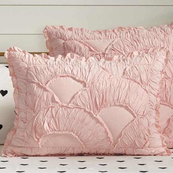 Pottery Barn Other - 🩰Pottery Barn🩰xEmily & Meritt The Parisian Petticoat Two(2)Standard Shams ONLY